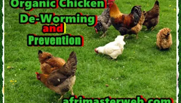 Organic Chicken De-Worming and Prevention