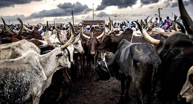 Nasarawa Governor Says Anti-Open Grazing Policy Isn't Working