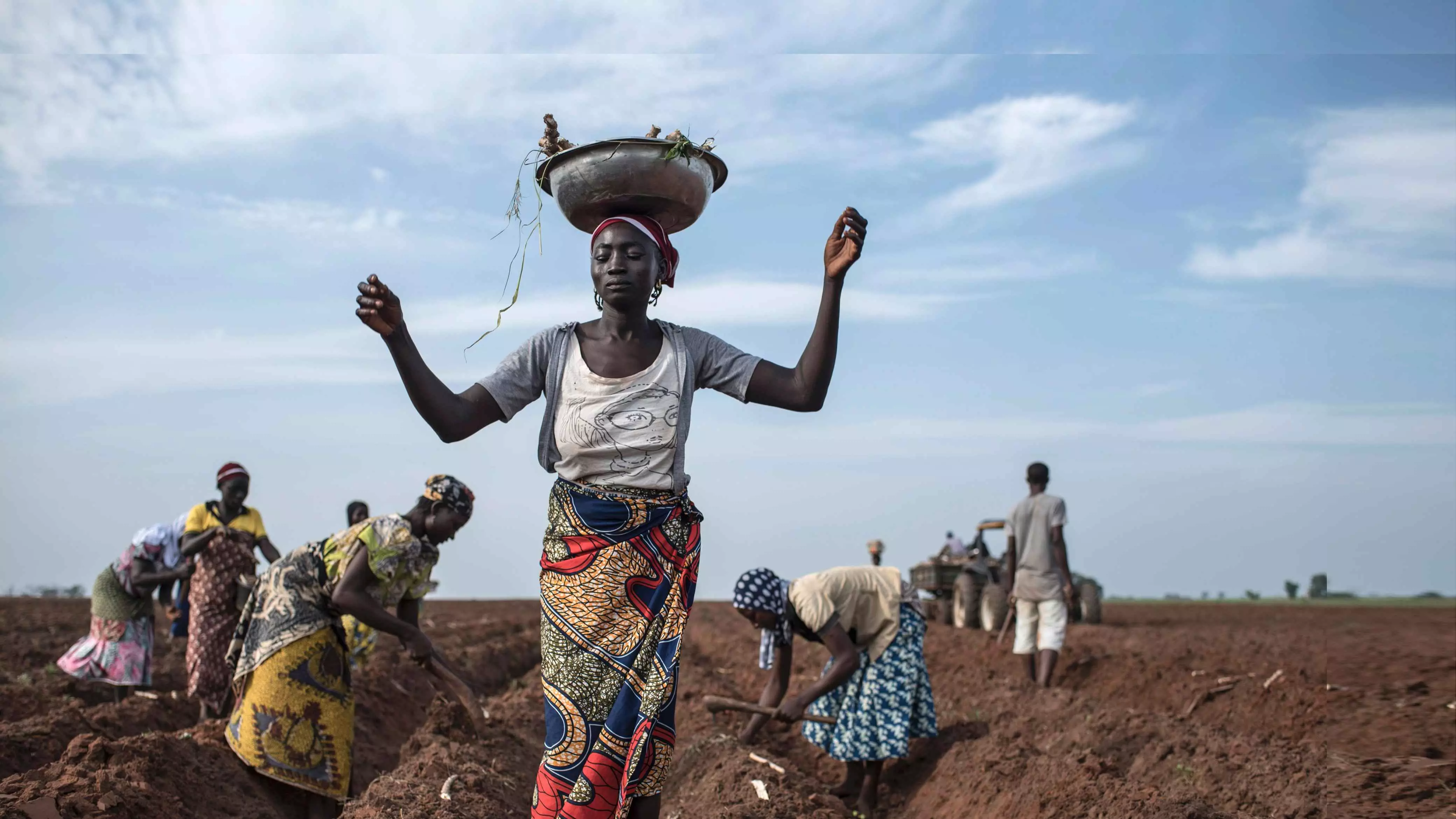 CSIS Brief: Risk &amp; Resilience: Advancing Food and Nutrition Security in  Nigeria through Feed the Future | Center for Strategic and International  Studies