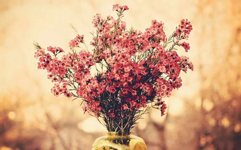 Flower bucket