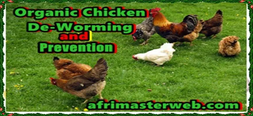 Organic Chicken De-Worming and Prevention