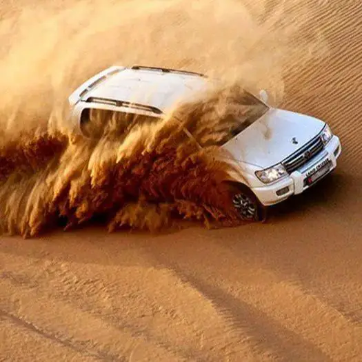 Dubai Desert Safari