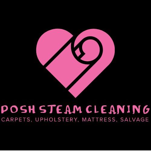 Posh Steam Cleaning