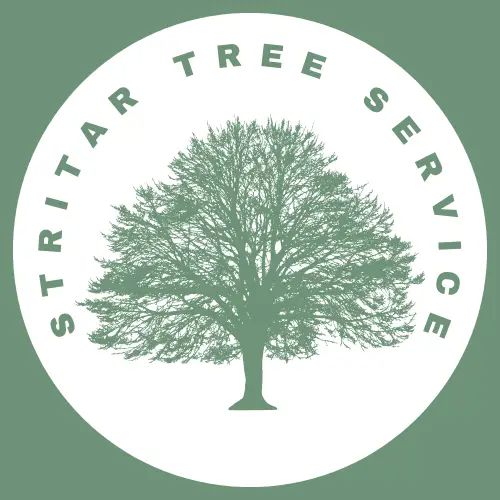 StriTar Tree Service